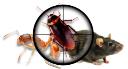 Pest Control Joondalup logo